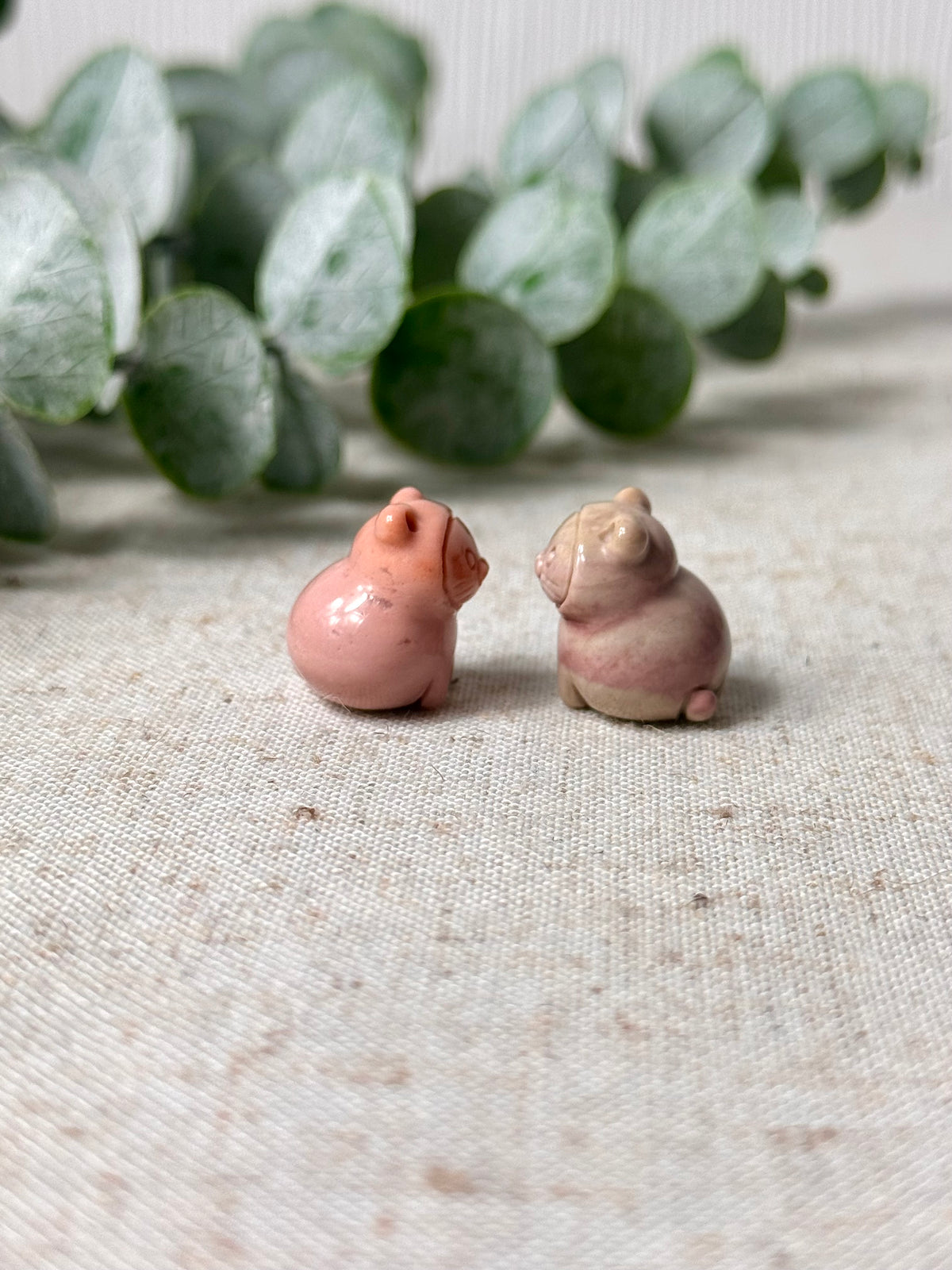Alashan Agate Cats 🐈