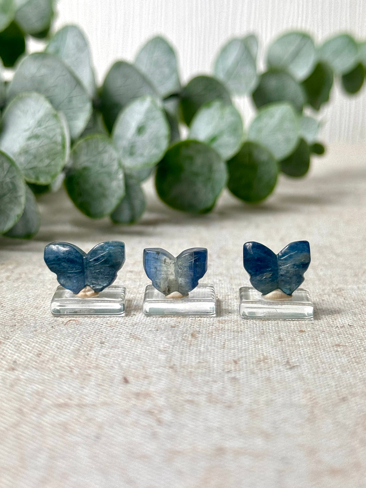Kunzite Mini Butterfly Carving 🦋