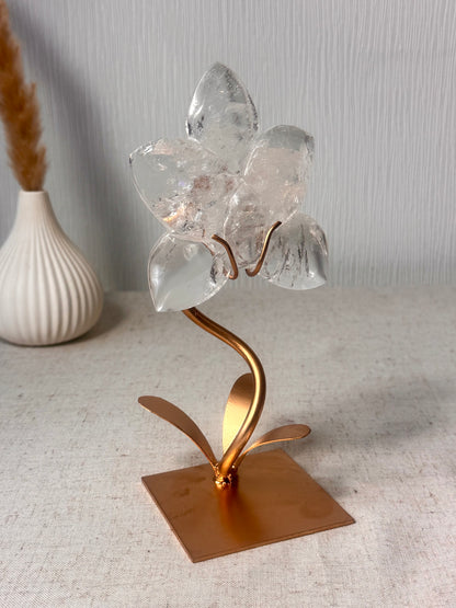 Clear Quartz Orchid  On Stand 🌸