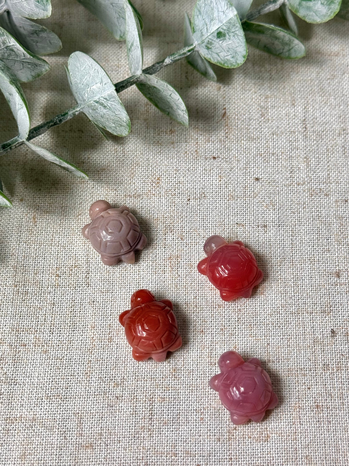 Alashan Agate Turtles 🐢