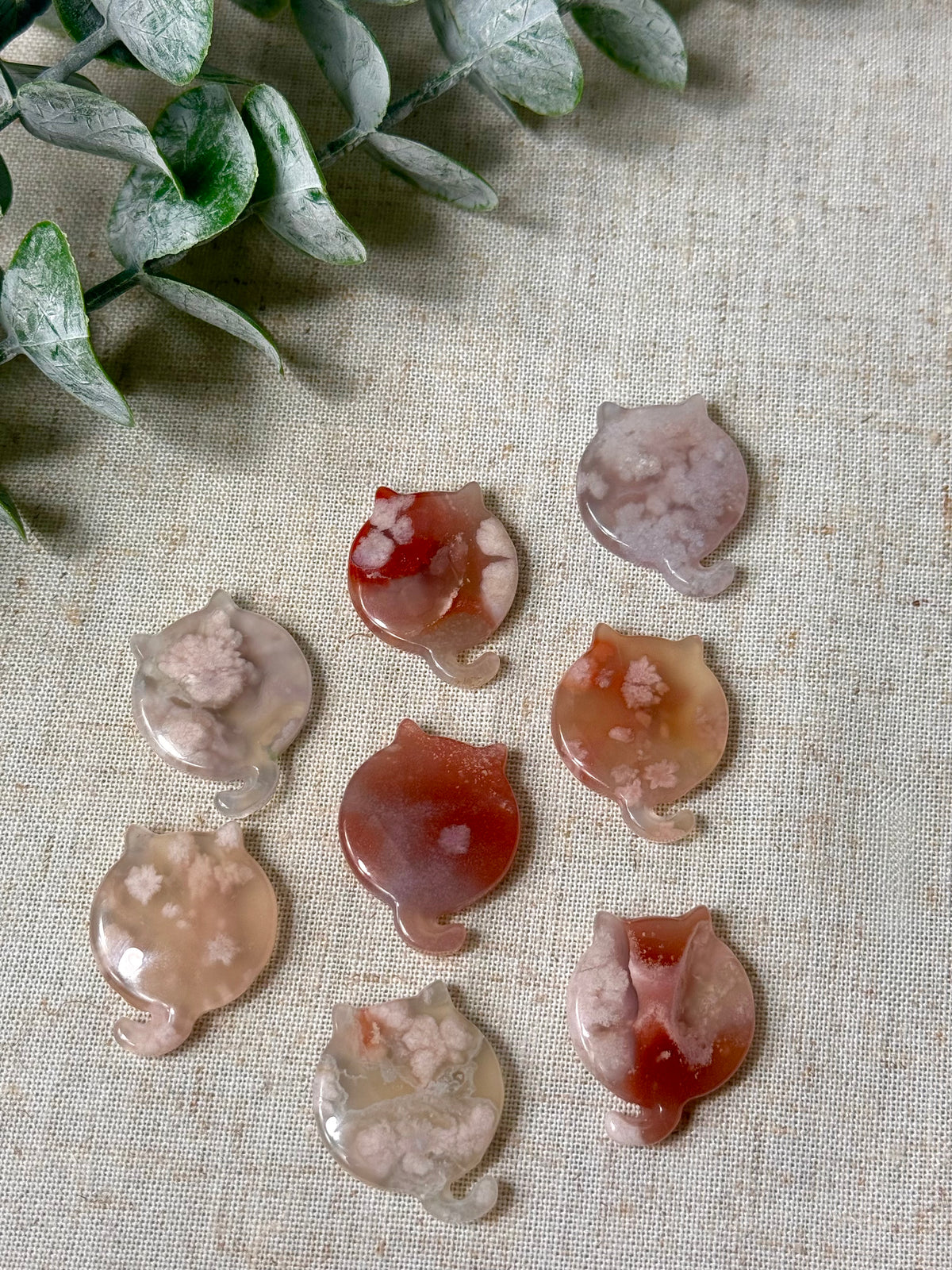 Flower Agate Cat Flat Stones 🐈