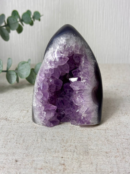 Amethyst Agate Cutbase 💜