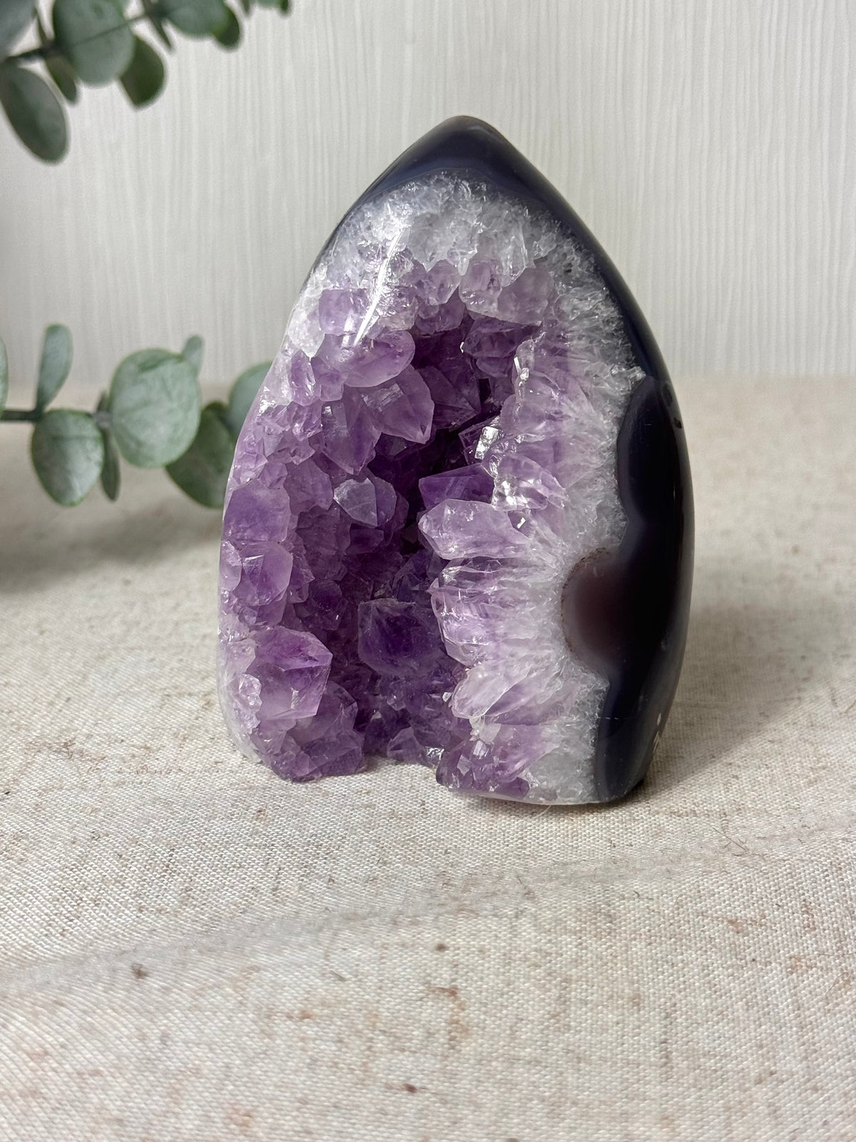 Amethyst Agate Cutbase 💜