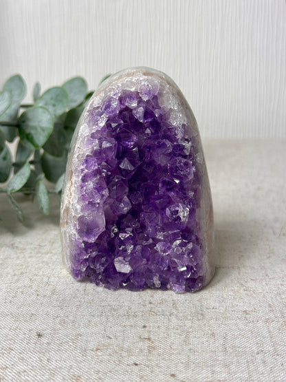 Rainbow Amethyst Cutbase 💜