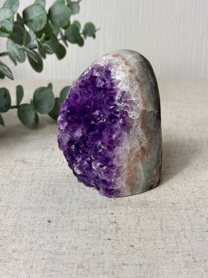 Rainbow Amethyst Cutbase 💜
