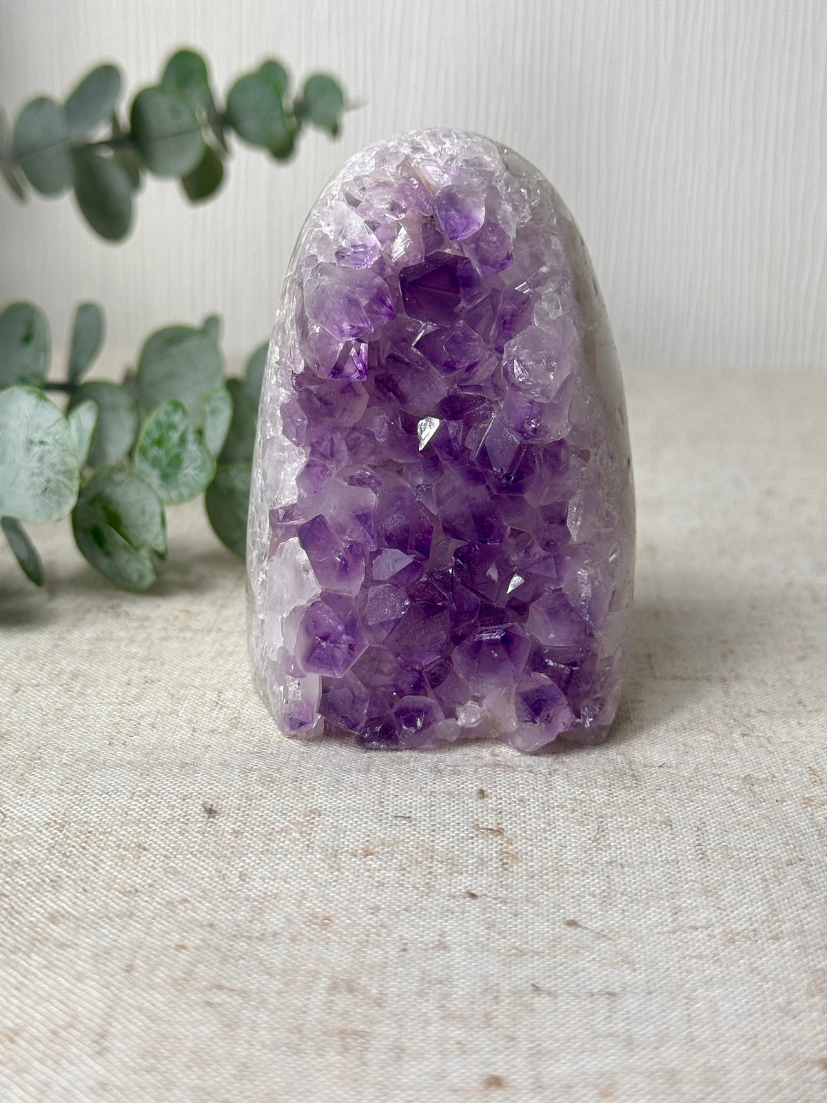 Amethyst Agate Cutbase 💜