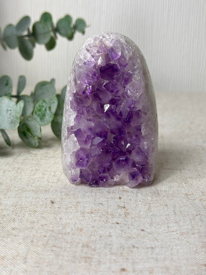 Amethyst Agate Cutbase 💜