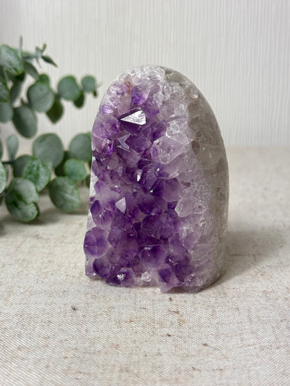 Amethyst Agate Cutbase 💜