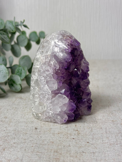 Amethyst Agate Cutbase 💜