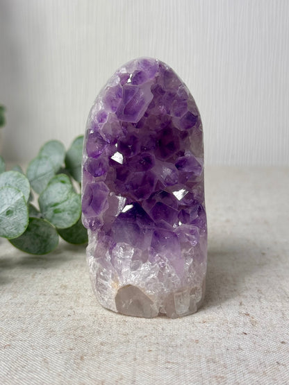 Amethyst Agate Cutbase 💜
