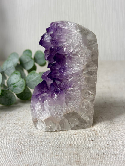 Amethyst Agate Cutbase 💜