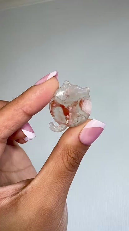 Flower Agate Cat Flat Stones 🐈
