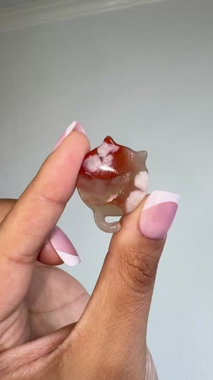 Flower Agate Cat Flat Stones 🐈