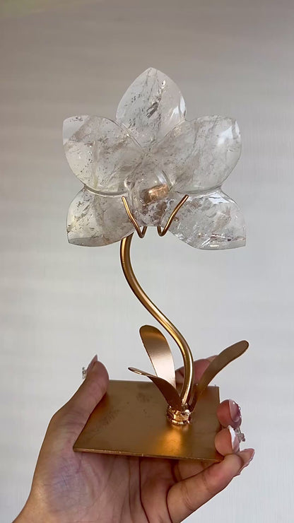 Clear Quartz Orchid On Stand 🌸