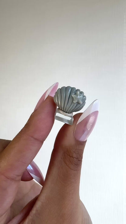 Alashan Agate Shell 🐚