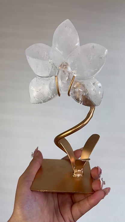Clear Quartz Orchid On Stand 🌸