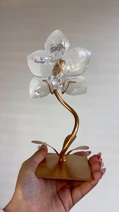Clear Quartz Orchid On Stand 🌸