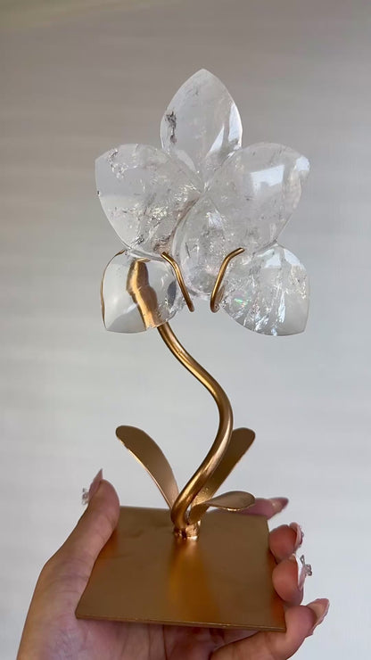 Clear Quartz Orchid  On Stand 🌸