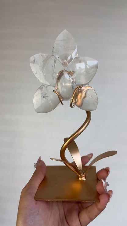 Clear Quartz Orchid On Stand 🌸
