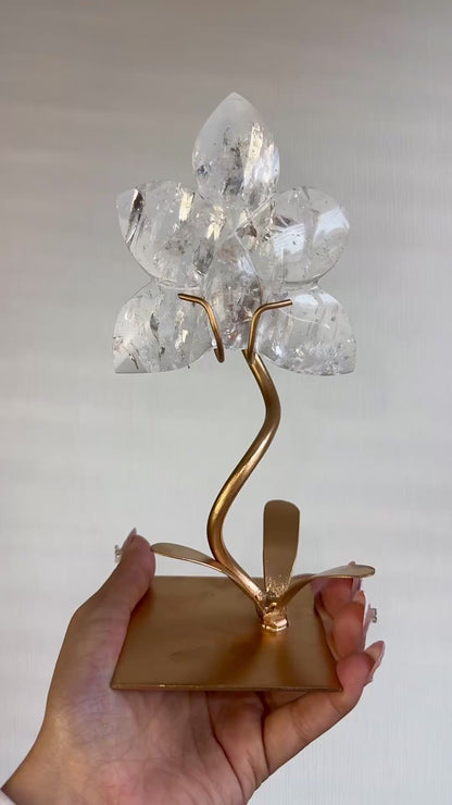 Clear Quartz Orchid  On Stand 🌸